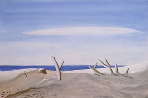 Bois flottés du Grand Radeau, 1987 - Marie Hugo